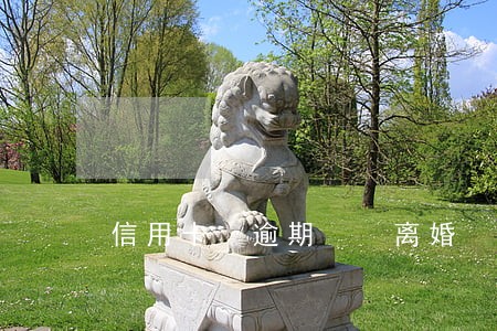 信用卡 逾期  离婚